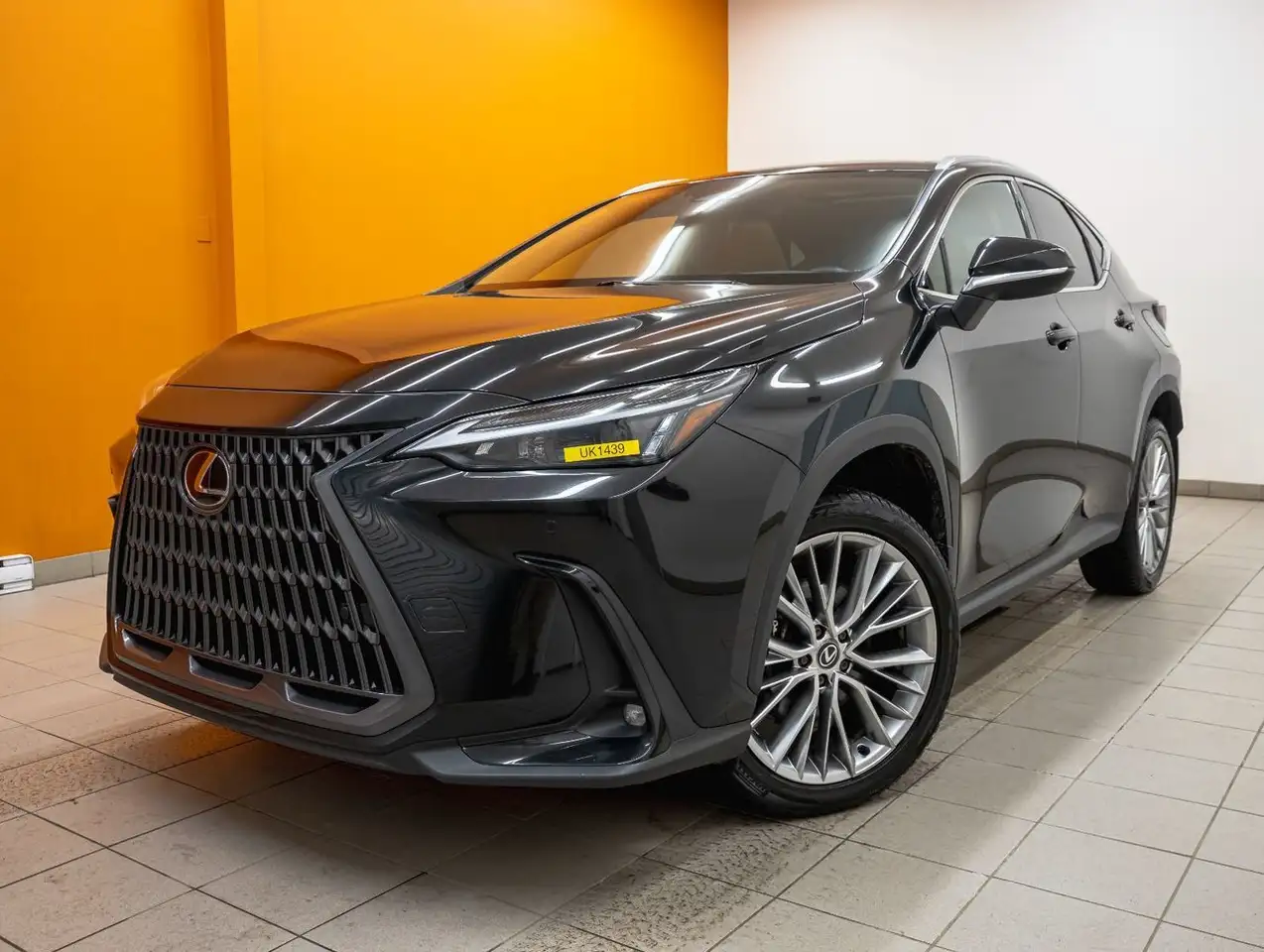 Lexus NX fotografie Lexus NX
