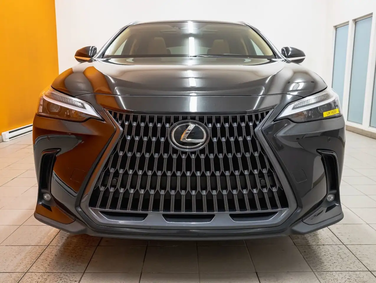 Lexus NX fotografie Lexus NX