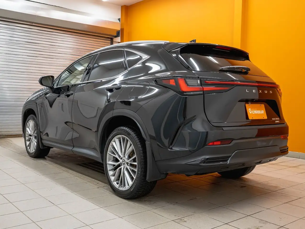 Lexus NX fotografie Lexus NX