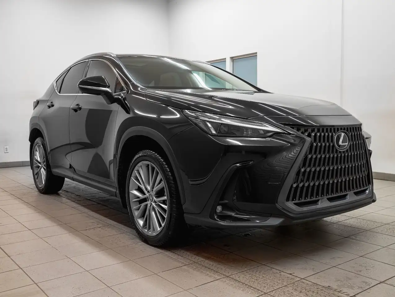 Lexus NX fotografie Lexus NX