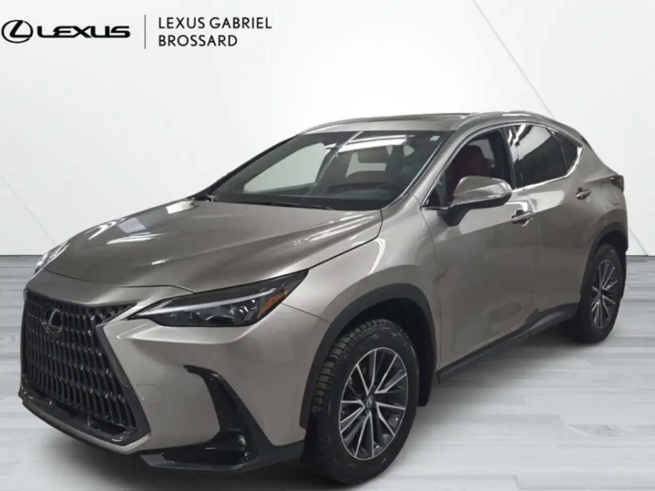 Lexus NX fotografie Lexus NX