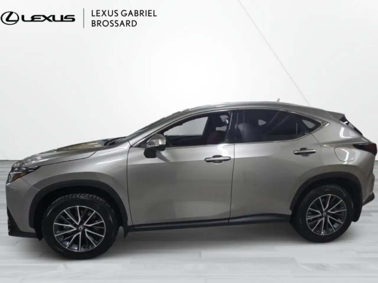 Lexus NX fotografie Lexus NX