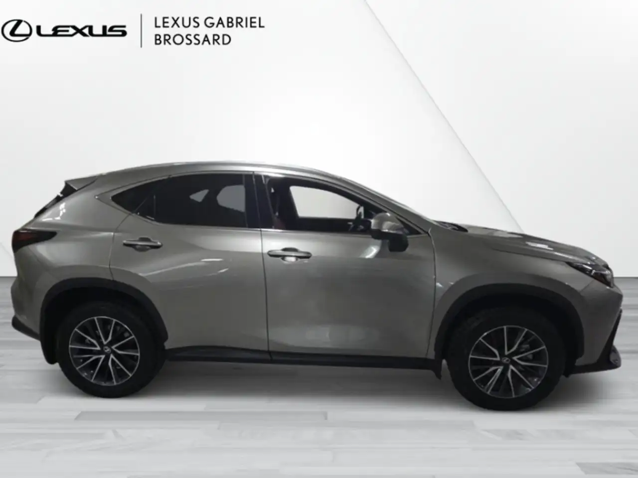 Lexus NX fotografie Lexus NX
