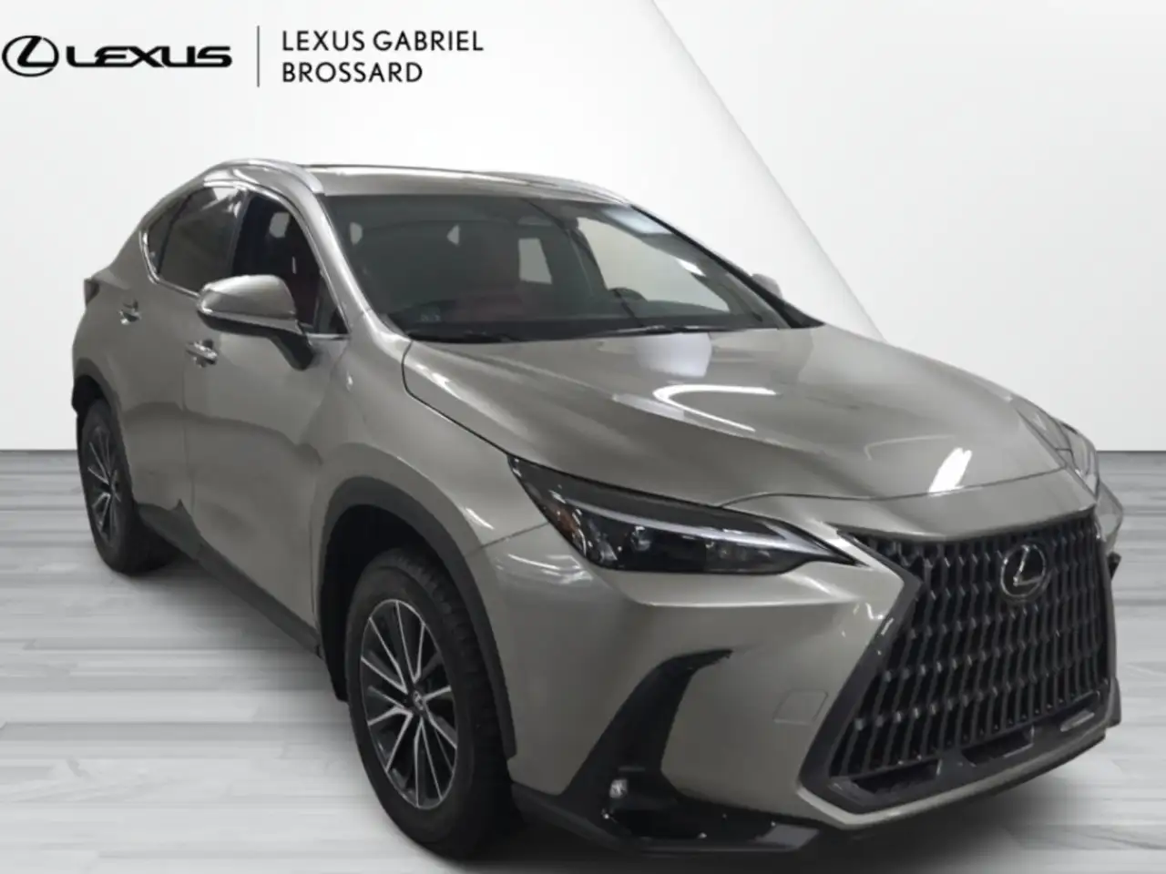 Lexus NX fotografie Lexus NX