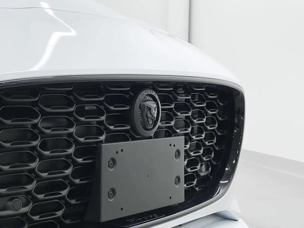 Jaguar F-Type снимка Jaguar F-Type