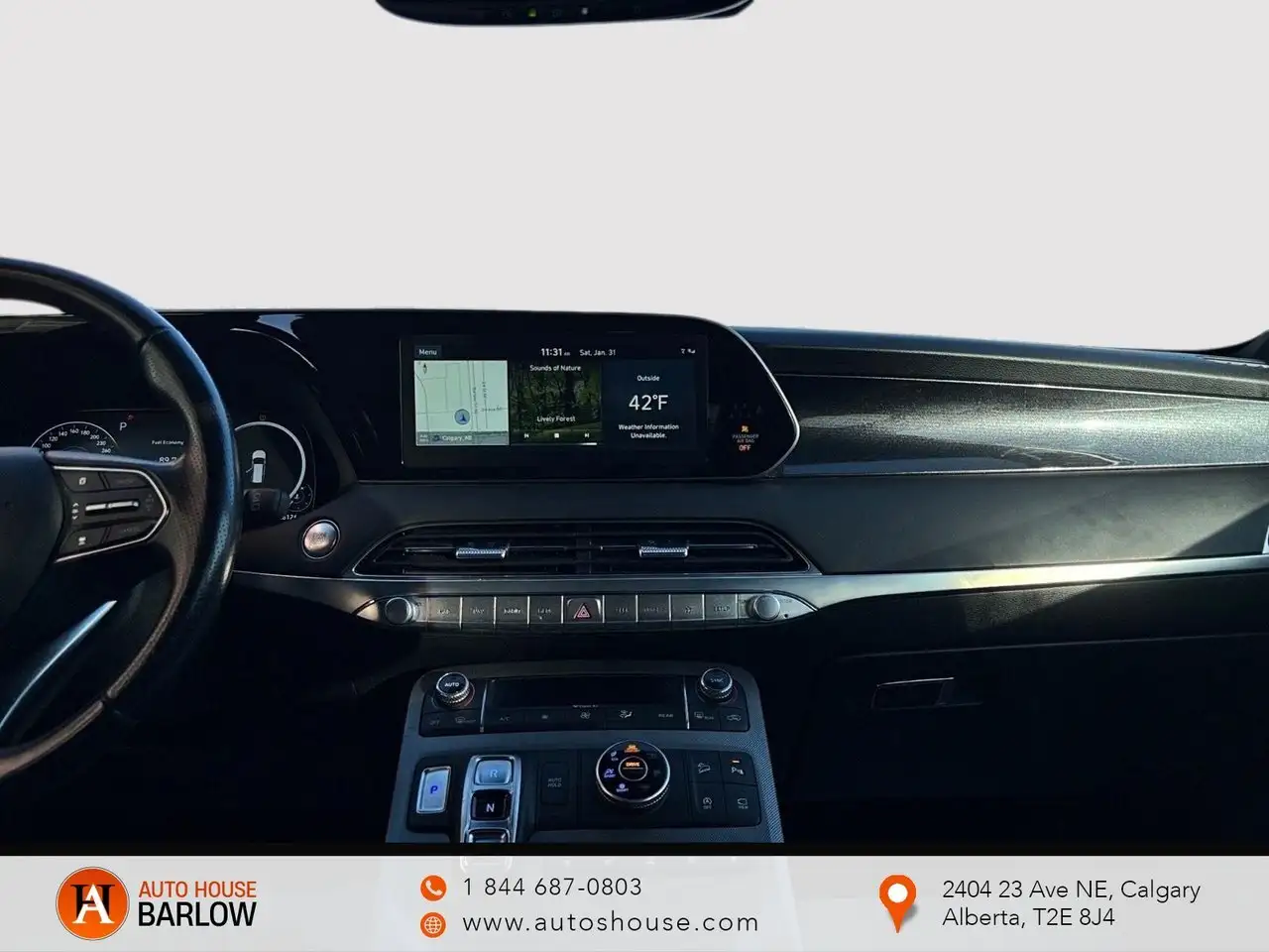 Hyundai PALISADE снимка Hyundai PALISADE