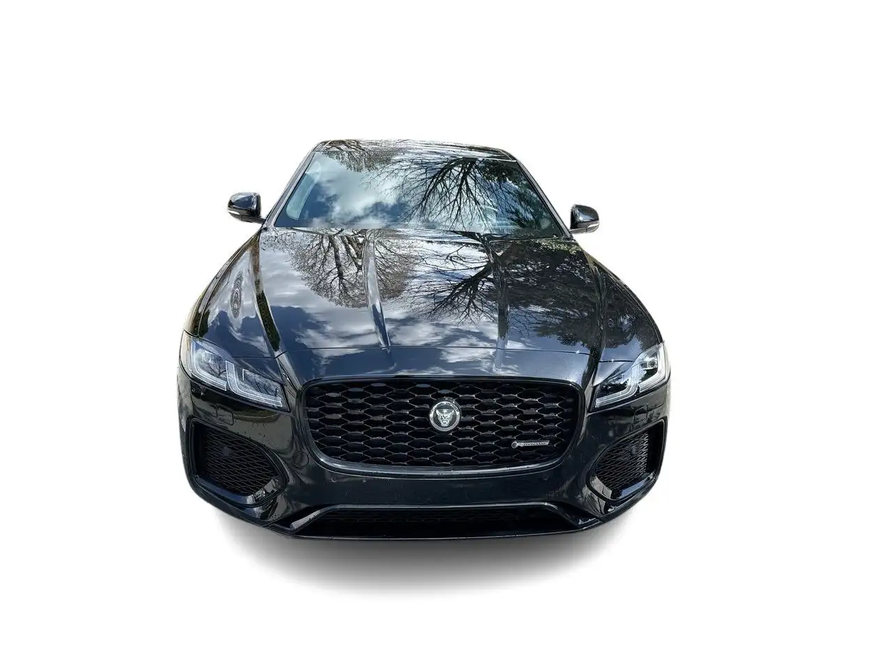Jaguar XF fotografie Jaguar XF