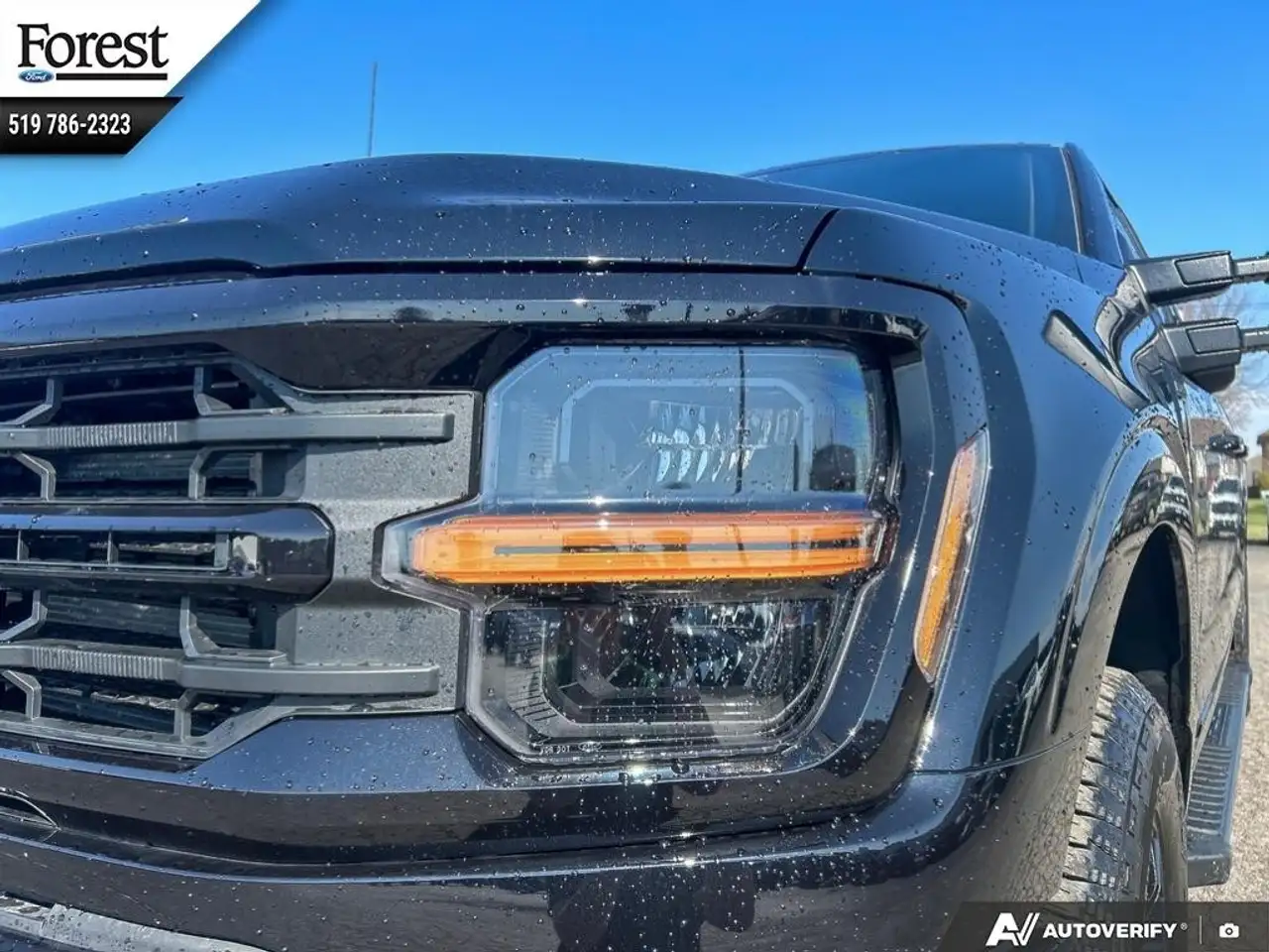 Ford F 150 снимка Ford F 150