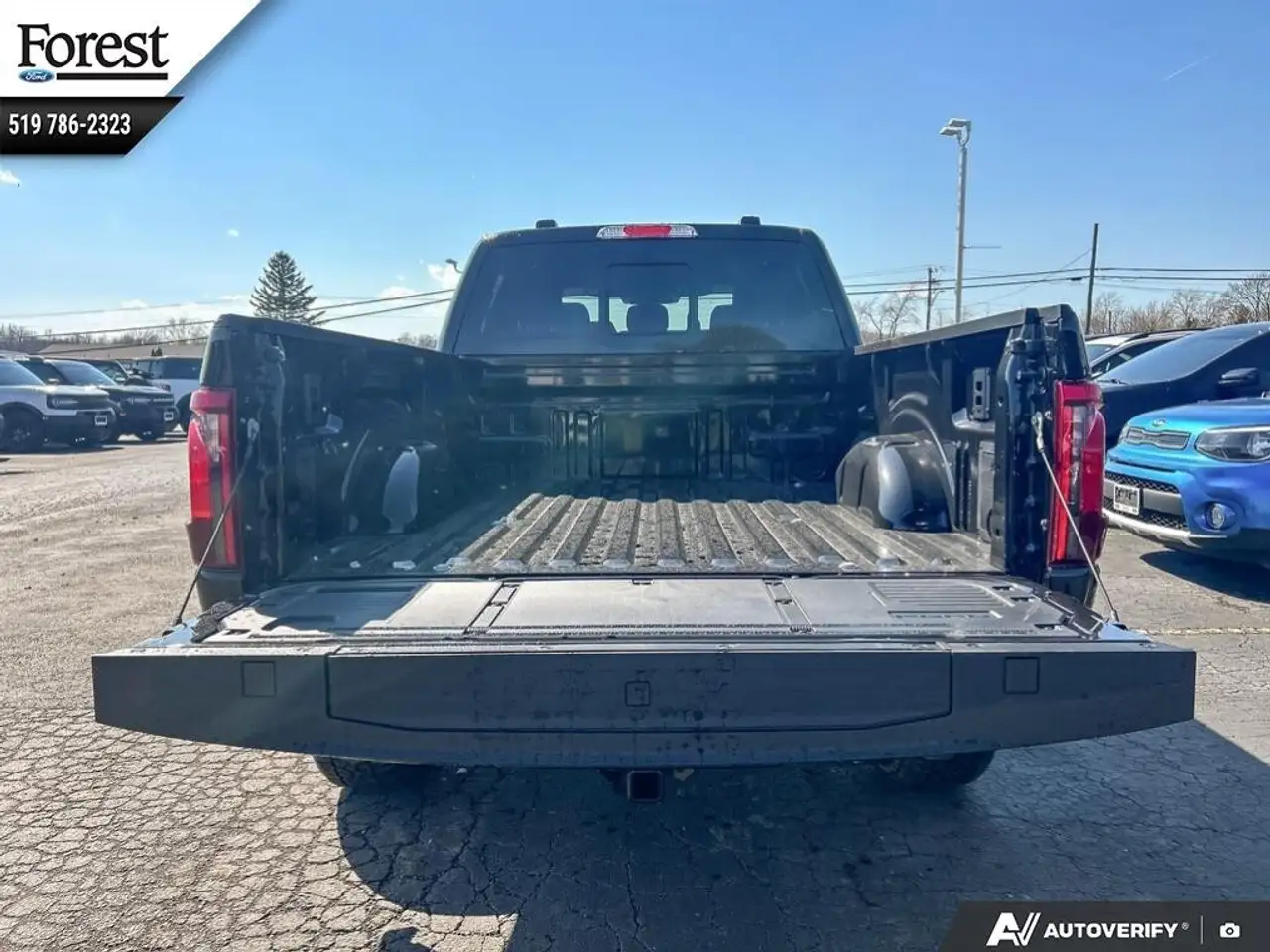 Ford F 150 снимка Ford F 150