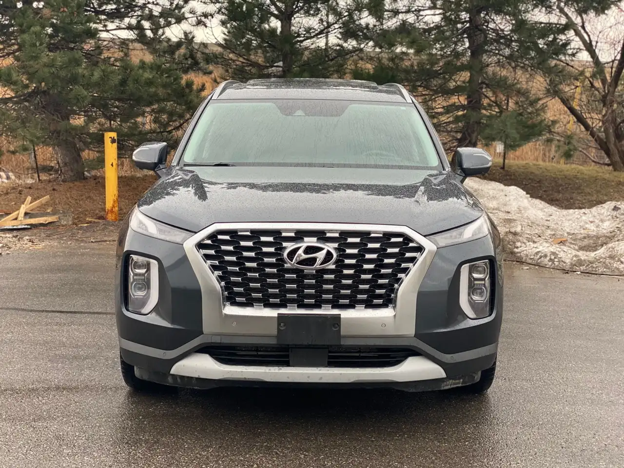 Hyundai PALISADE снимка Hyundai PALISADE