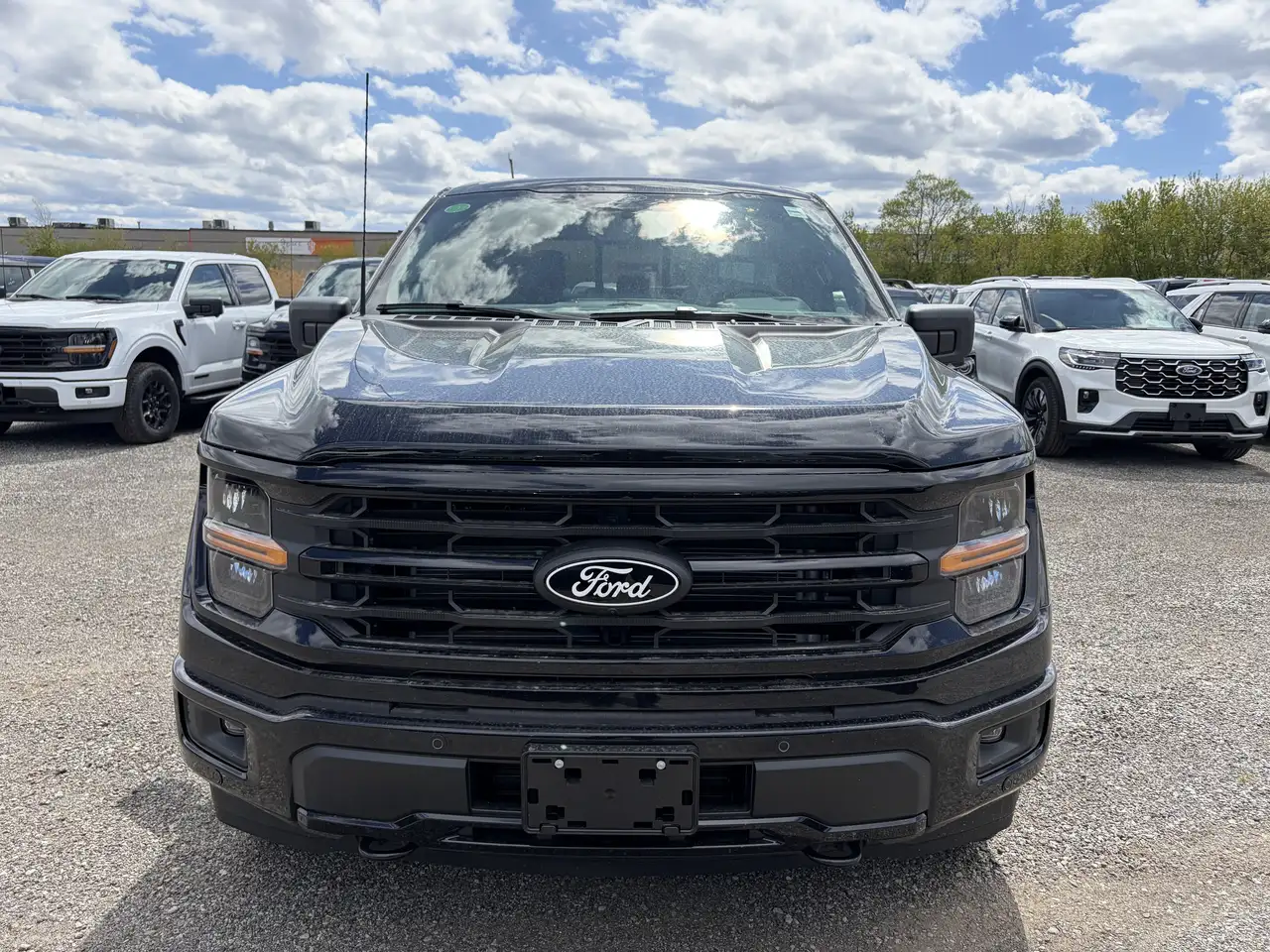 Ford F 150 снимка Ford F 150