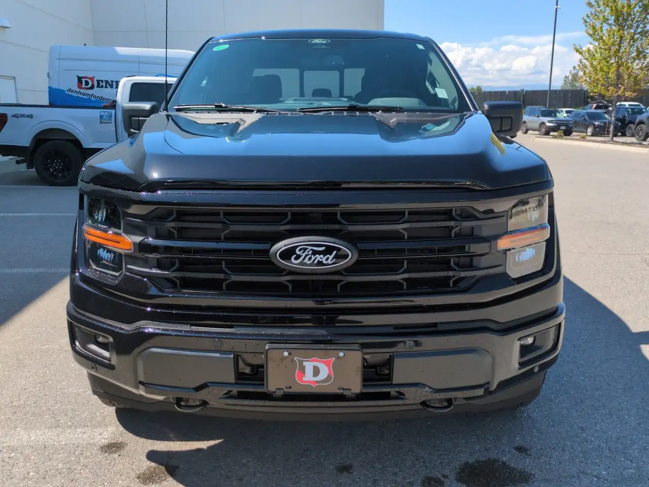 Ford F 150 photo Ford F 150
