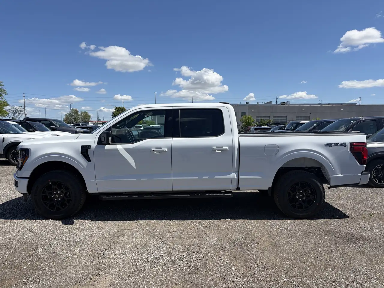 Ford F 150 fotografie Ford F 150
