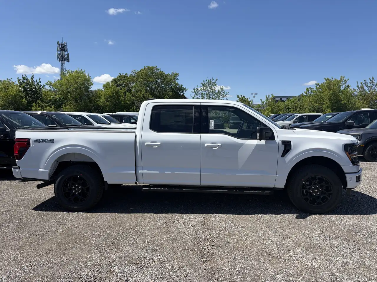 Ford F 150 fotografie Ford F 150