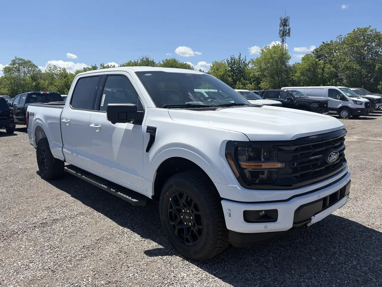 Ford F 150 fotografie Ford F 150