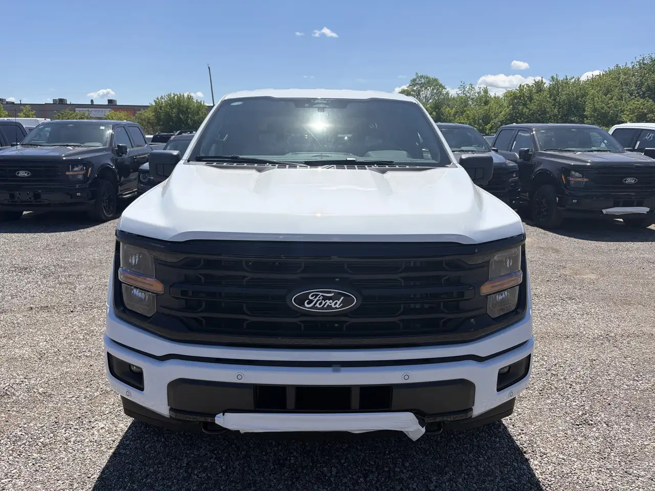 Ford F 150 fotografie Ford F 150