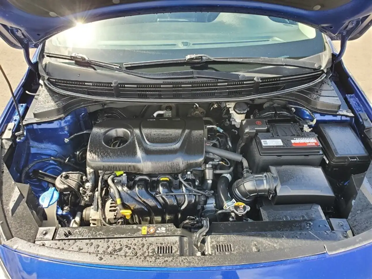 Kia Rio fotografie Kia Rio