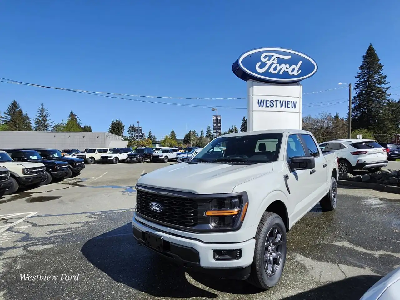 Ford F 150 снимка Ford F 150
