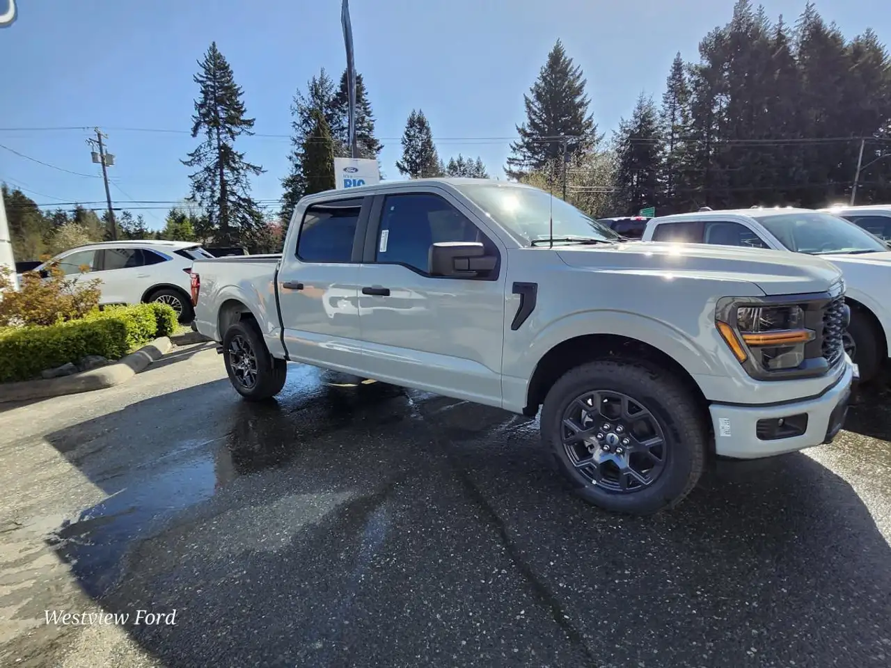 Ford F 150 снимка Ford F 150
