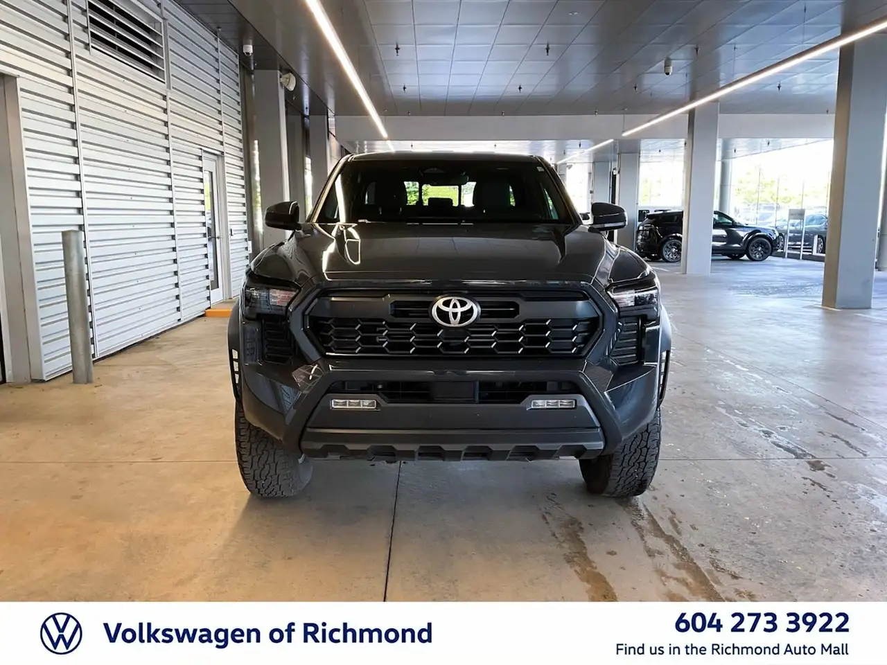 Toyota Tacoma fotografie Toyota Tacoma