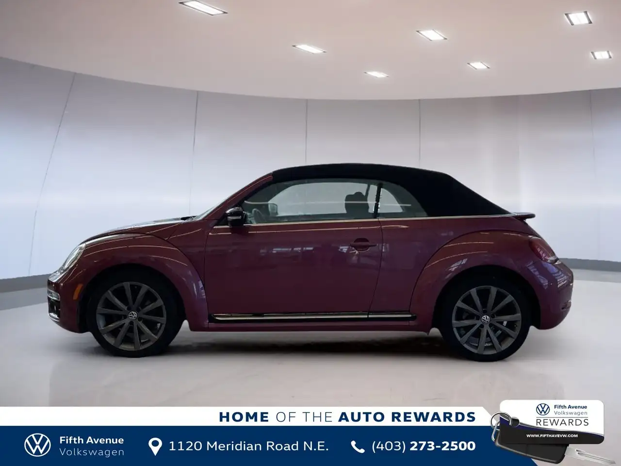 Volkswagen Beetle fotografie Volkswagen Beetle
