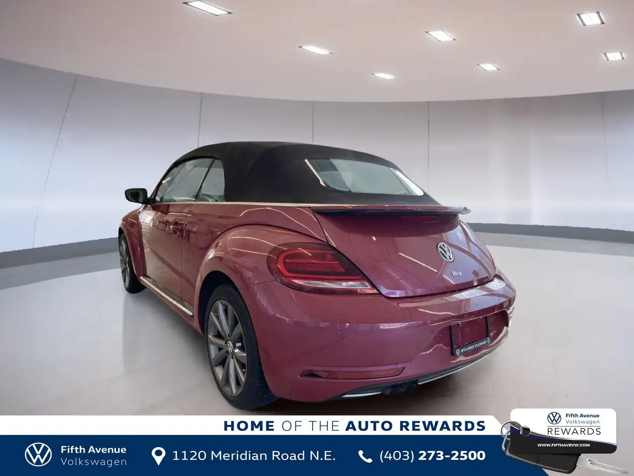 Volkswagen Beetle fotografie Volkswagen Beetle