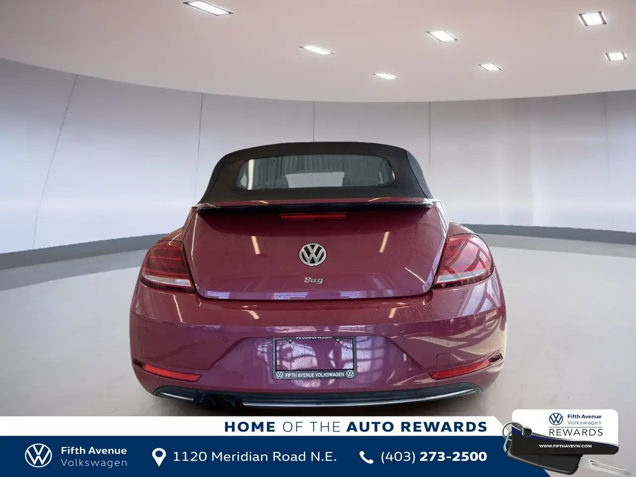Volkswagen Beetle fotografie Volkswagen Beetle
