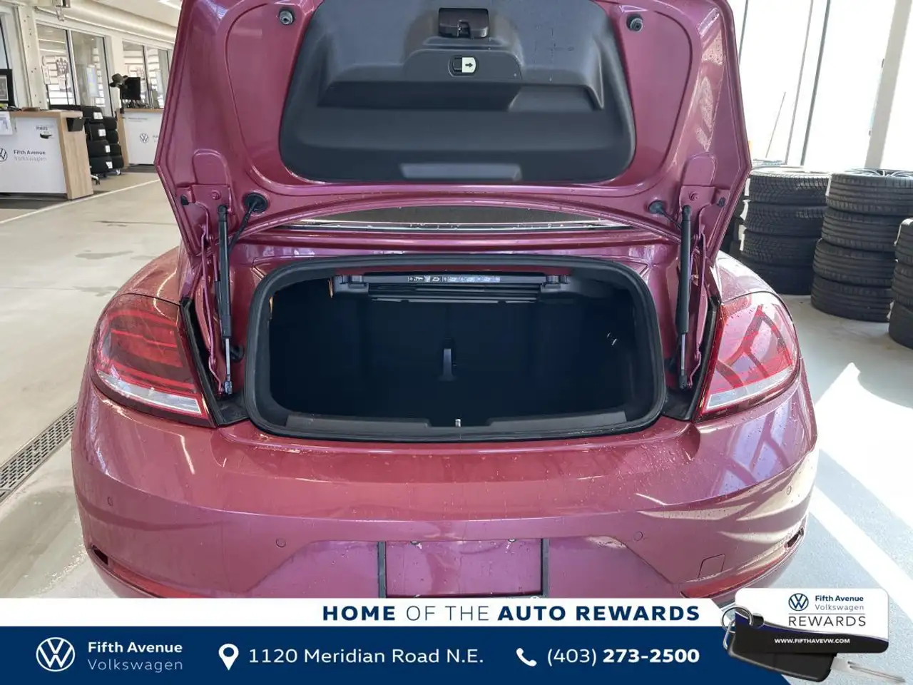 Volkswagen Beetle fotografie Volkswagen Beetle