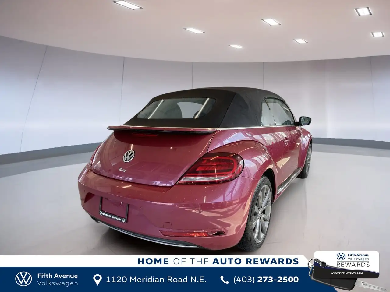 Volkswagen Beetle fotografie Volkswagen Beetle