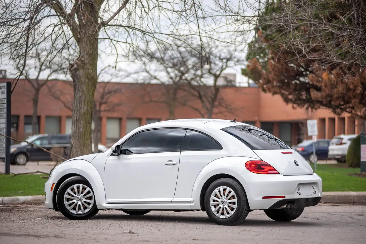Volkswagen Beetle fotografie Volkswagen Beetle