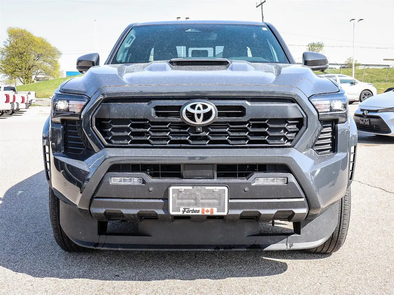 Toyota Tacoma fotografie Toyota Tacoma