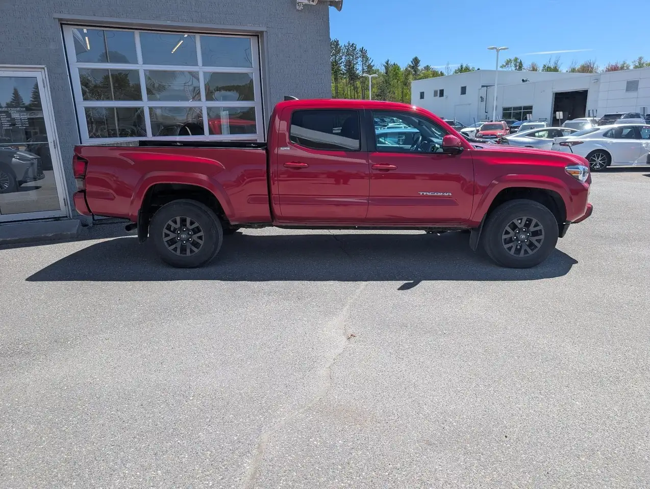 Toyota Tacoma fotografie Toyota Tacoma