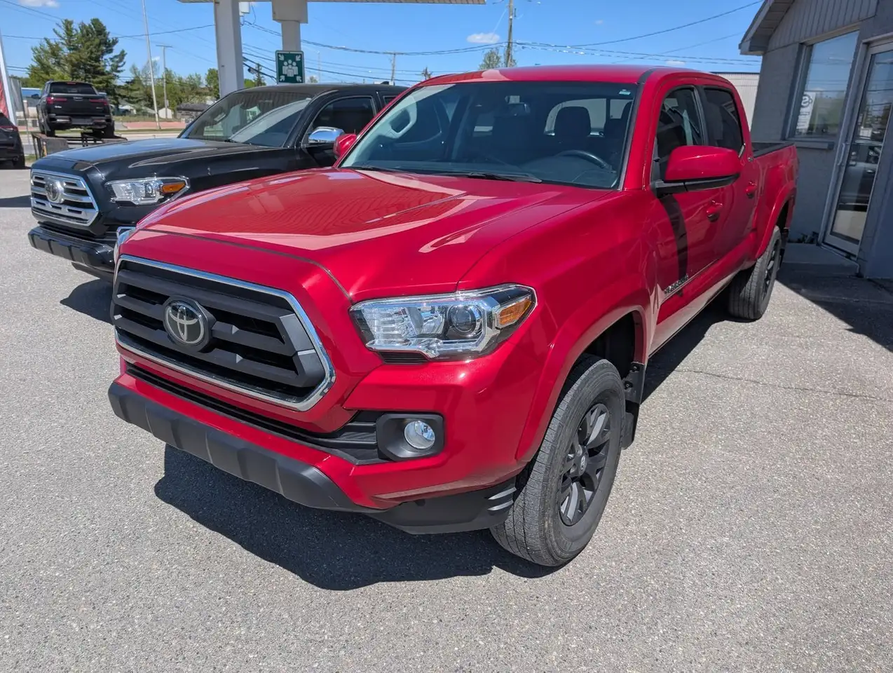 Toyota Tacoma fotografie Toyota Tacoma
