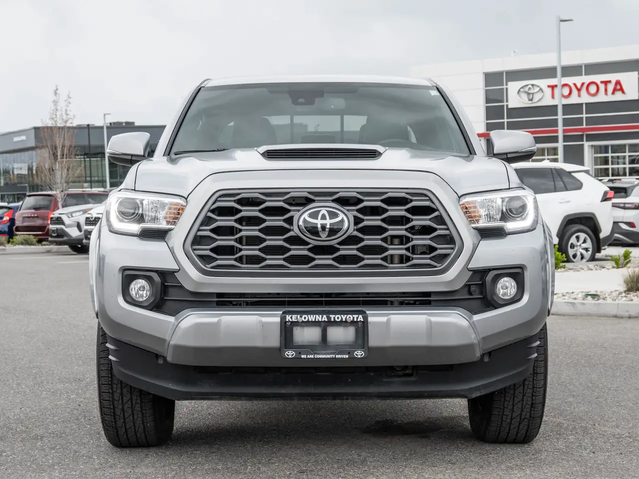 Toyota Tacoma fotografie Toyota Tacoma