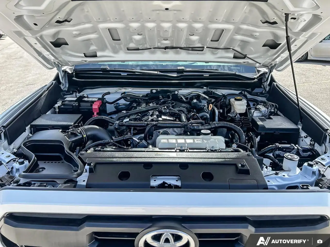 Toyota Tacoma fotografie Toyota Tacoma
