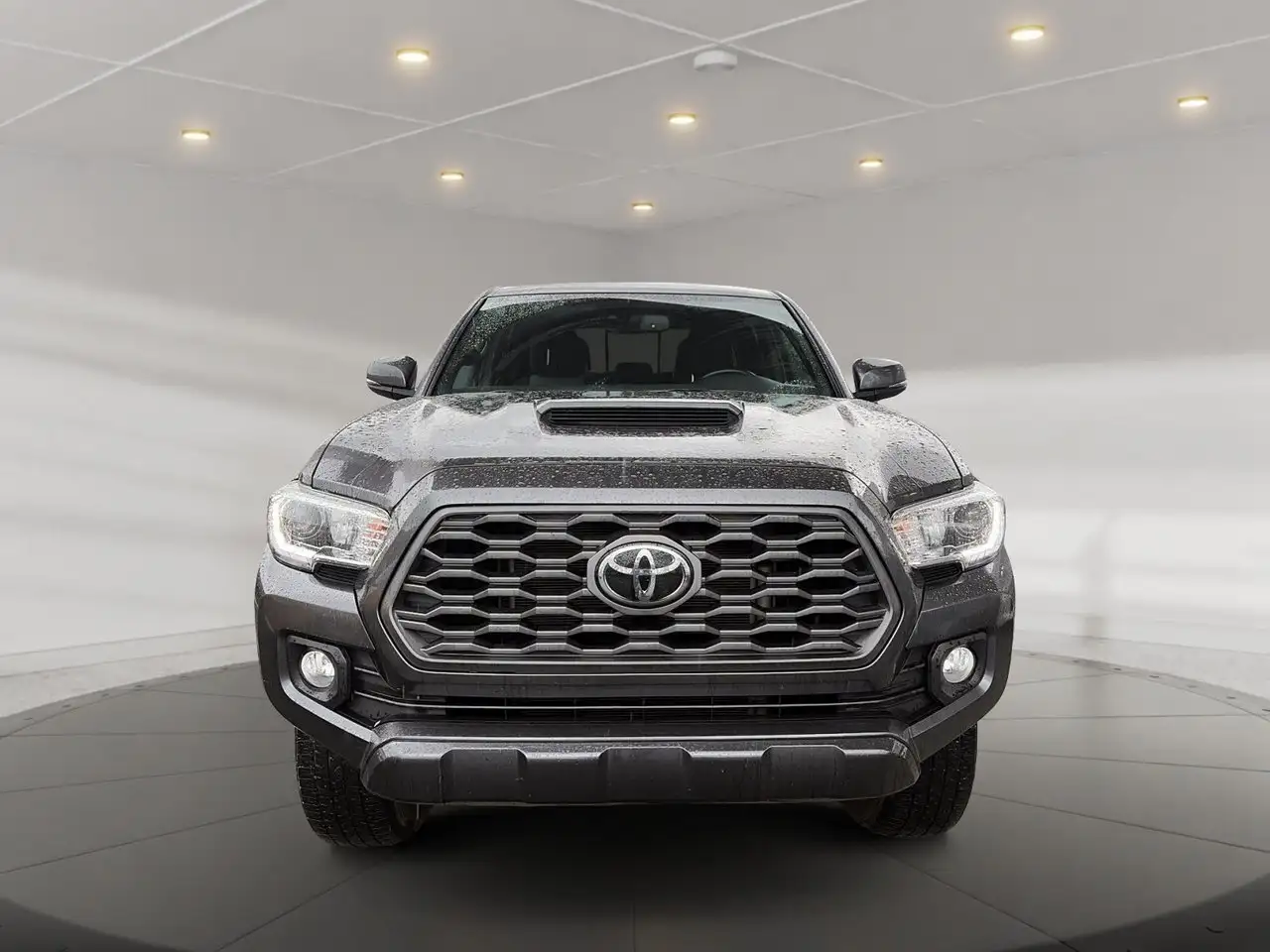 Toyota Tacoma fotografie Toyota Tacoma
