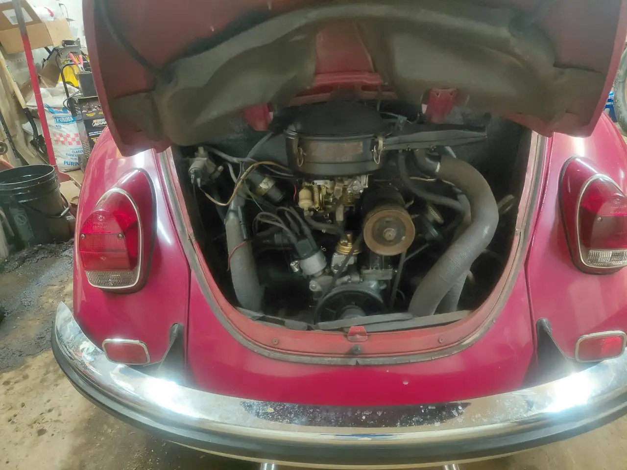 Volkswagen Beetle fotografie Volkswagen Beetle