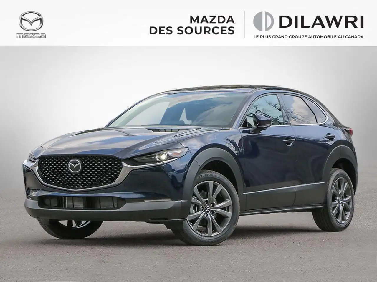 Mazda CX-30 photo Mazda CX-30