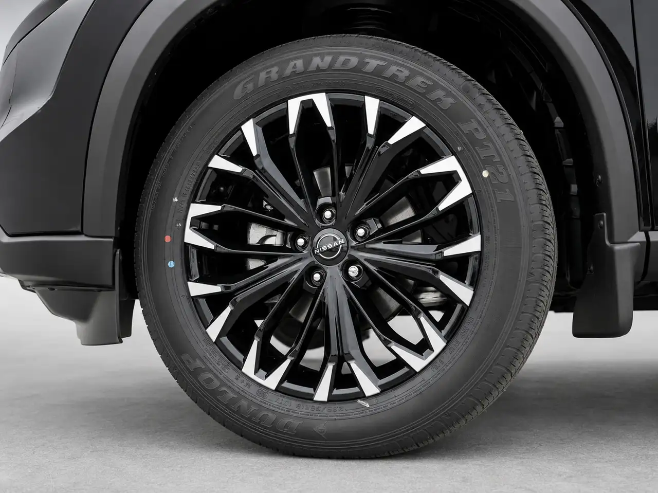 Nissan Rogue fotografie Nissan Rogue