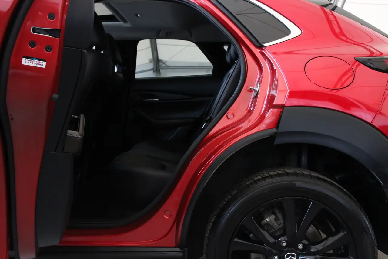 Mazda CX-30 photo Mazda CX-30