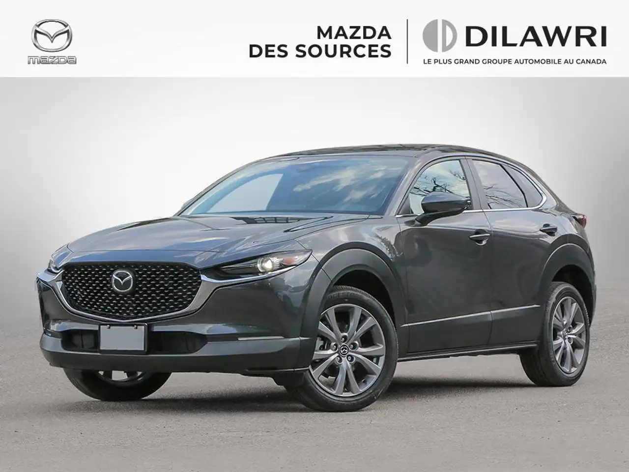 Mazda CX-30 photo Mazda CX-30