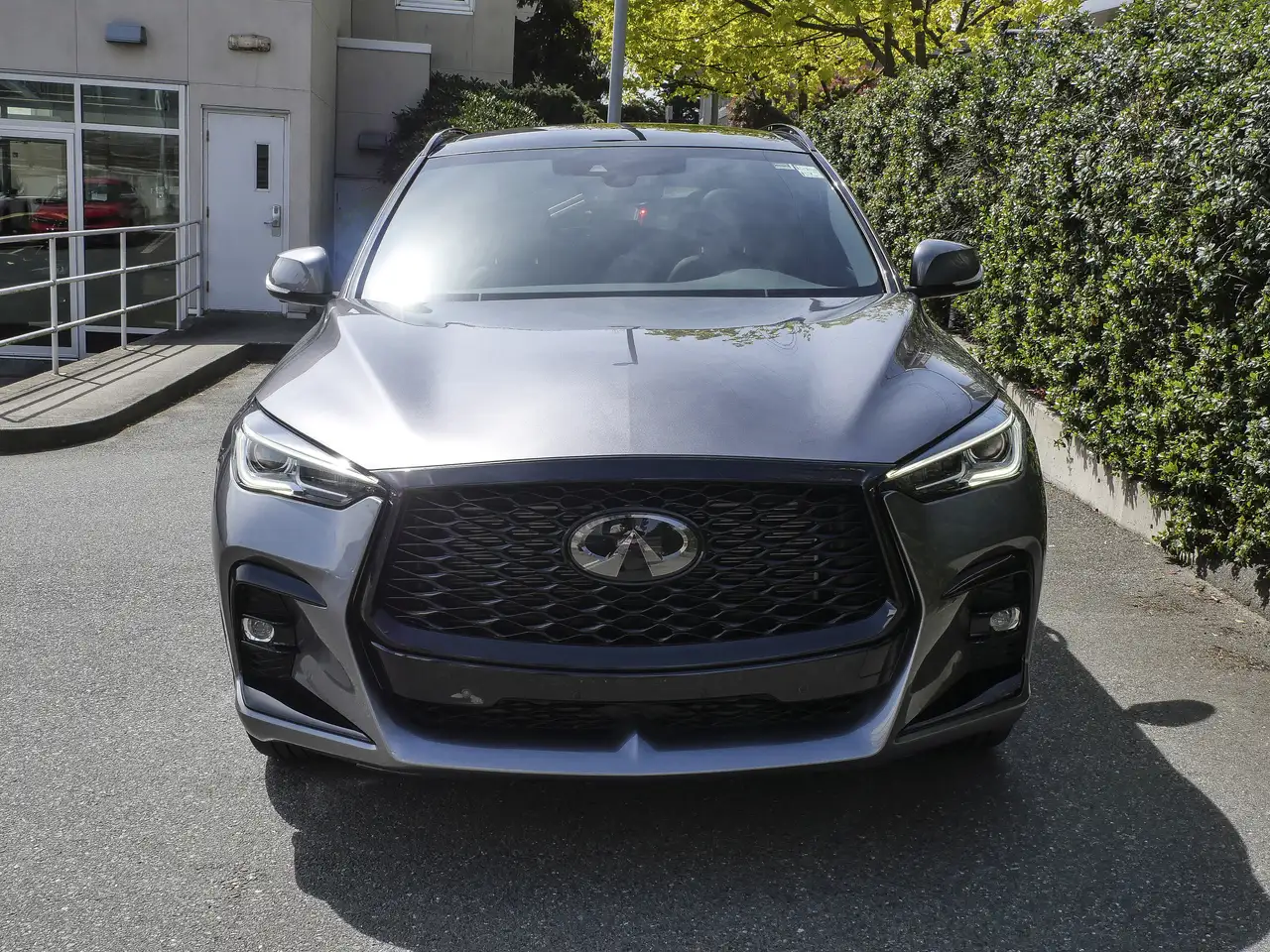 Infiniti QX50 снимка Infiniti QX50
