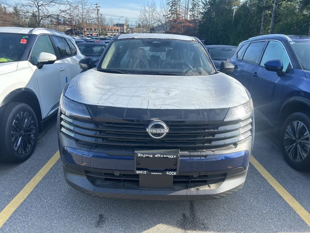 Nissan Kicks снимка Nissan Kicks