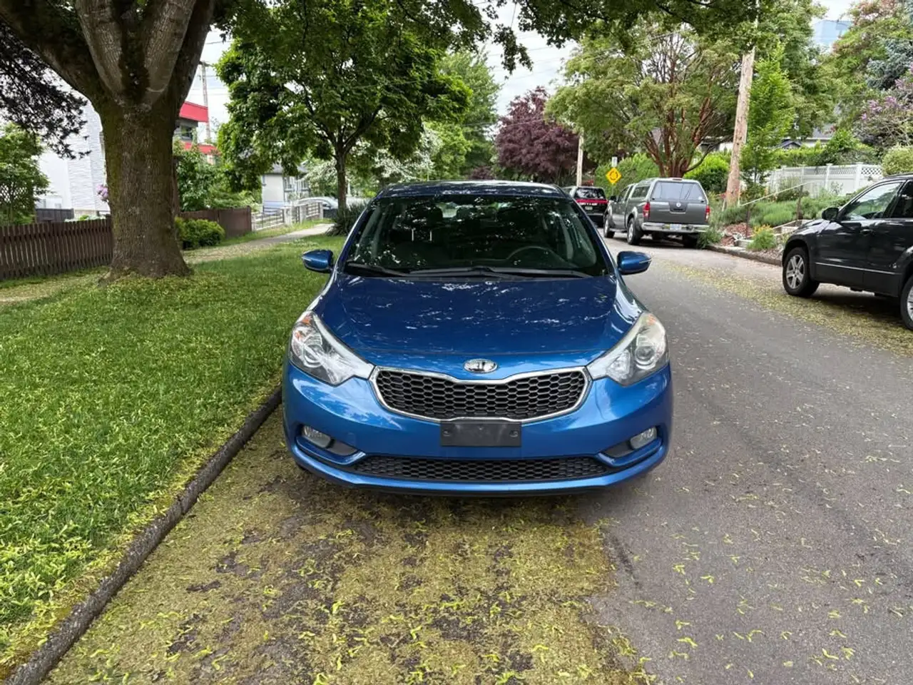 Kia Forte photo Kia Forte