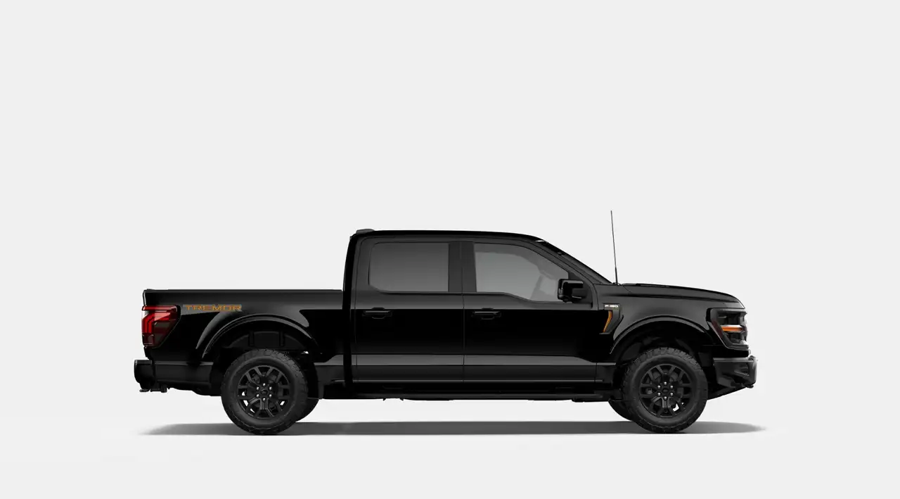 Ford F 150 photo Ford F 150