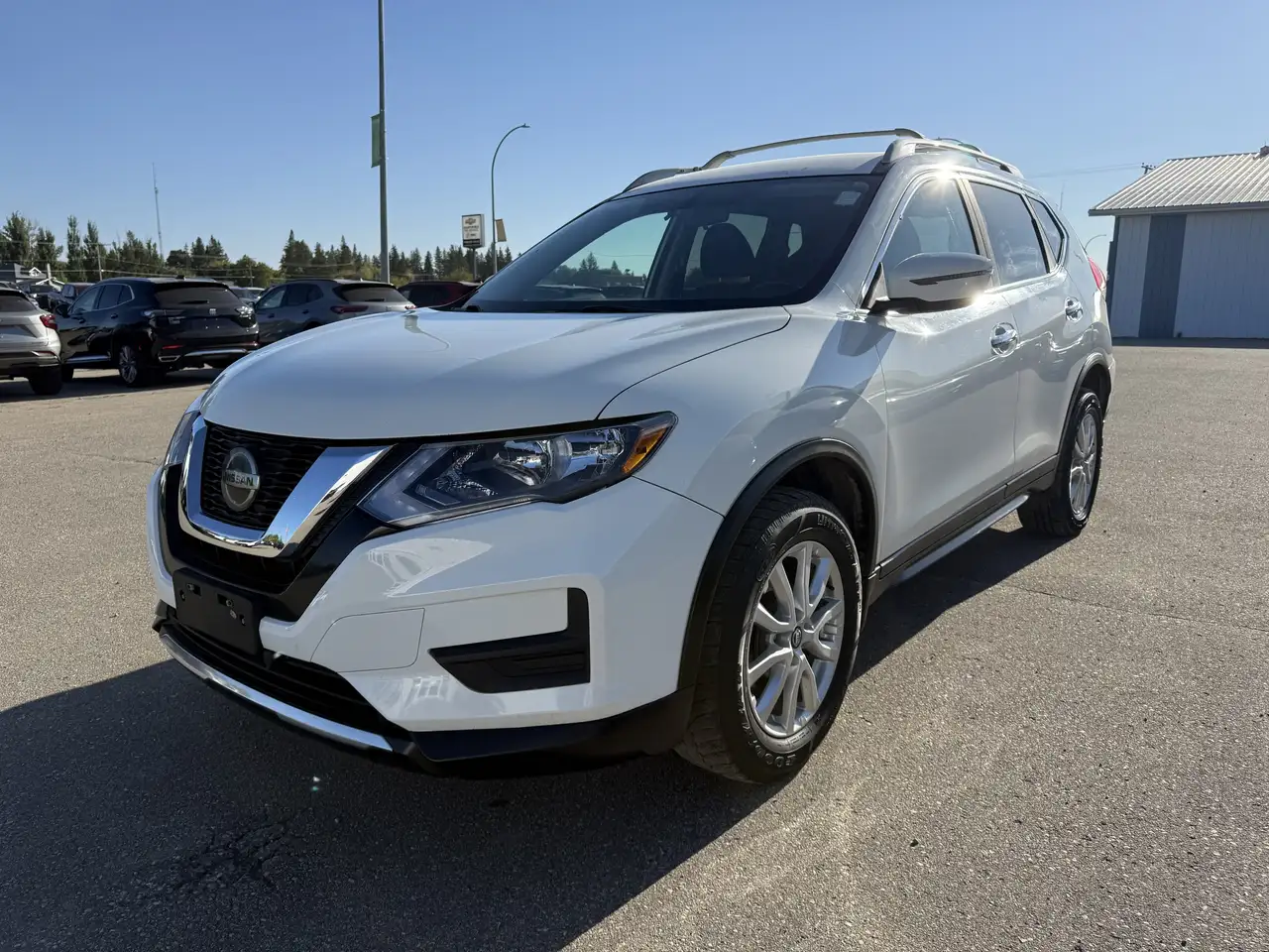 Nissan Rogue fotografie Nissan Rogue