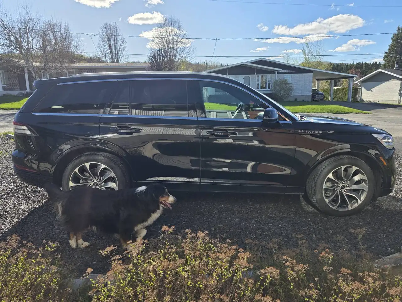 Lincoln Aviator photo Lincoln Aviator