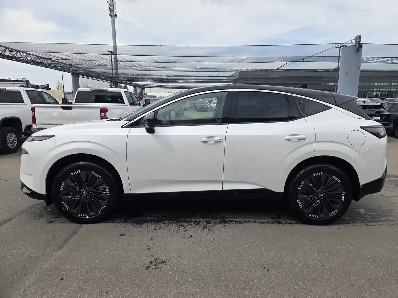 Nissan Murano photo Nissan Murano