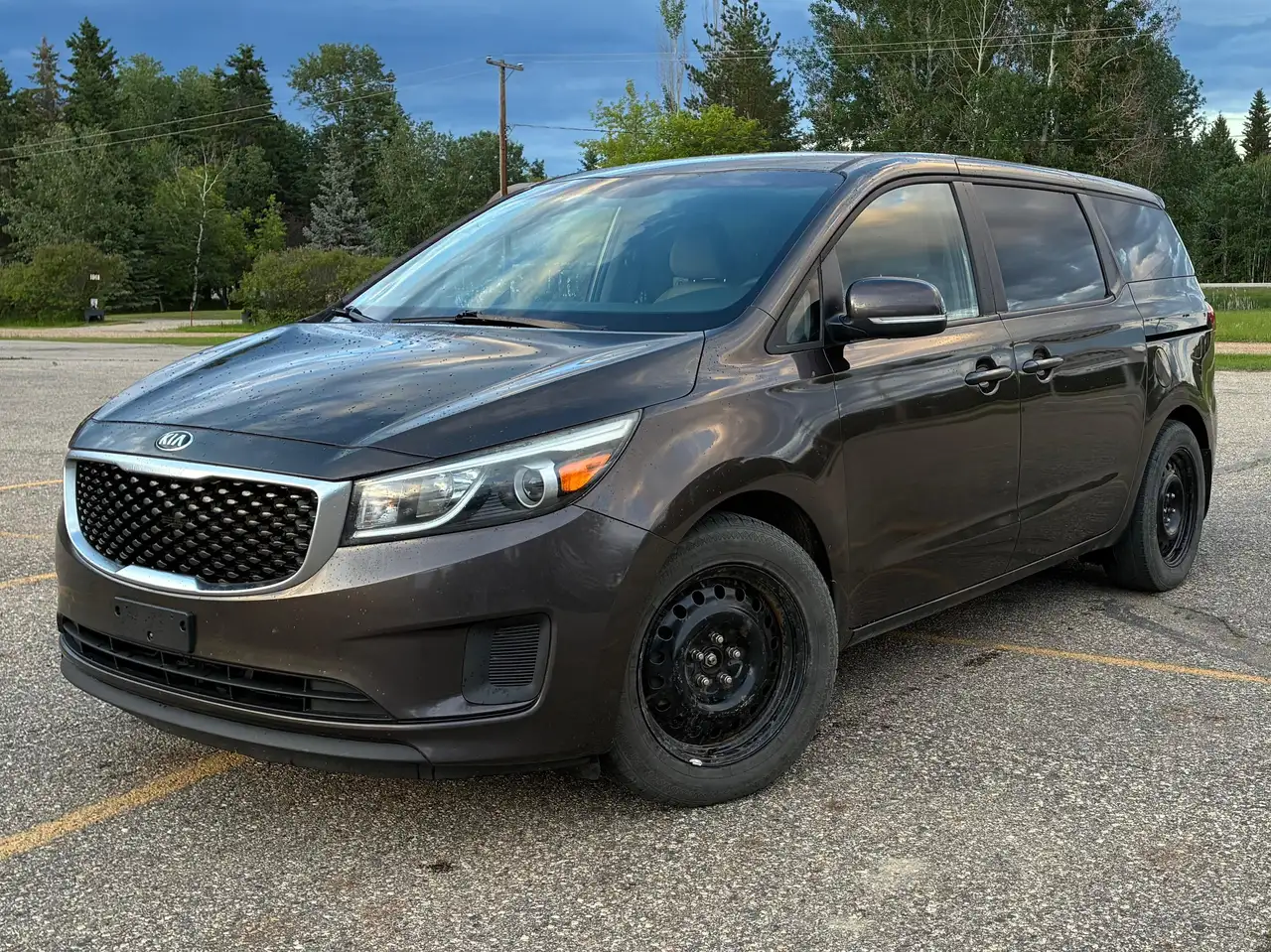 2015 Kia Sedona