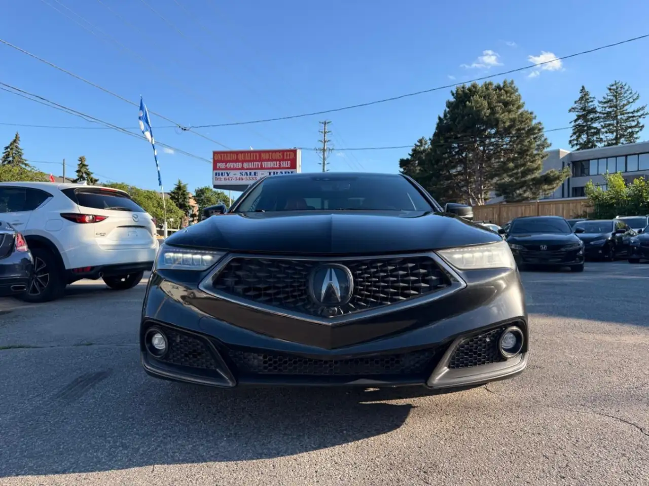 Acura TLX photo Acura TLX